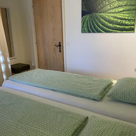 Casa Ramarro By Fewotessin Gordola