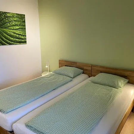 Appartement Casa Ramarro By Fewotessin Gordola